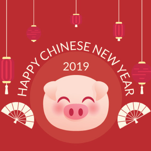 chinese new year hong kong asia year of the pig